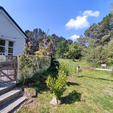 Chalet Cosy, Plages A Pieds. Morbihan. Plouhinec  Εξωτερικό φωτογραφία